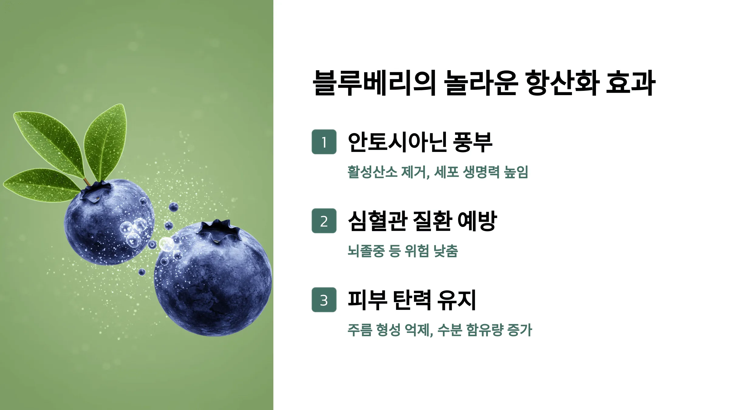50-60대를 위한 블루베리 효능 7가지 – 항산화, 혈관 건강, 피부 노화 방지까지