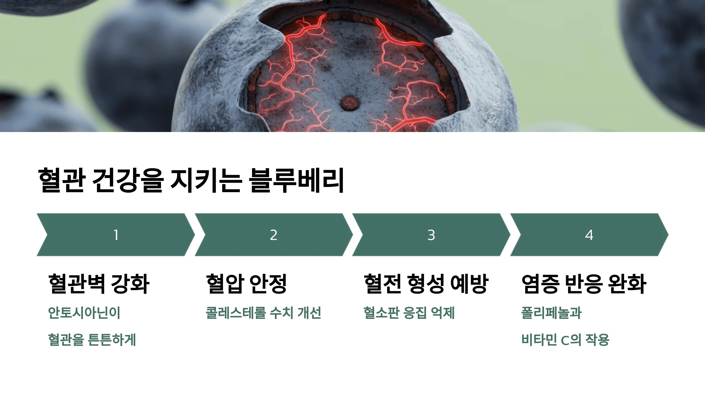 50-60대를 위한 블루베리 효능 7가지 – 항산화, 혈관 건강, 피부 노화 방지까지