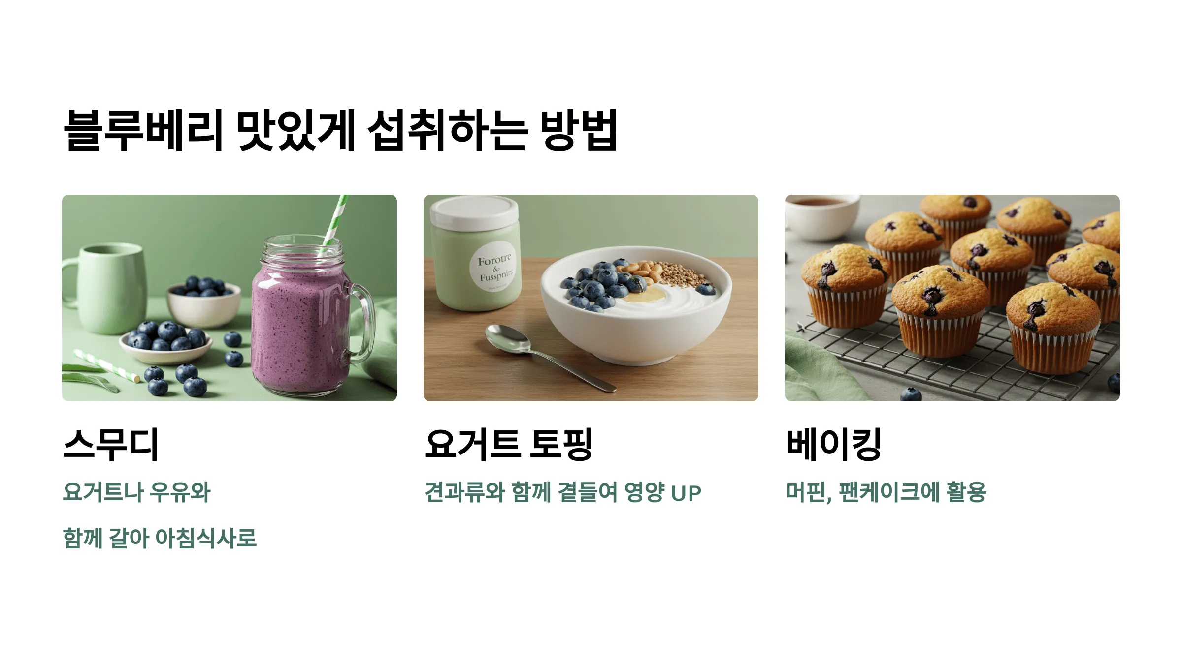 50-60대를 위한 블루베리 효능 7가지 – 항산화, 혈관 건강, 피부 노화 방지까지