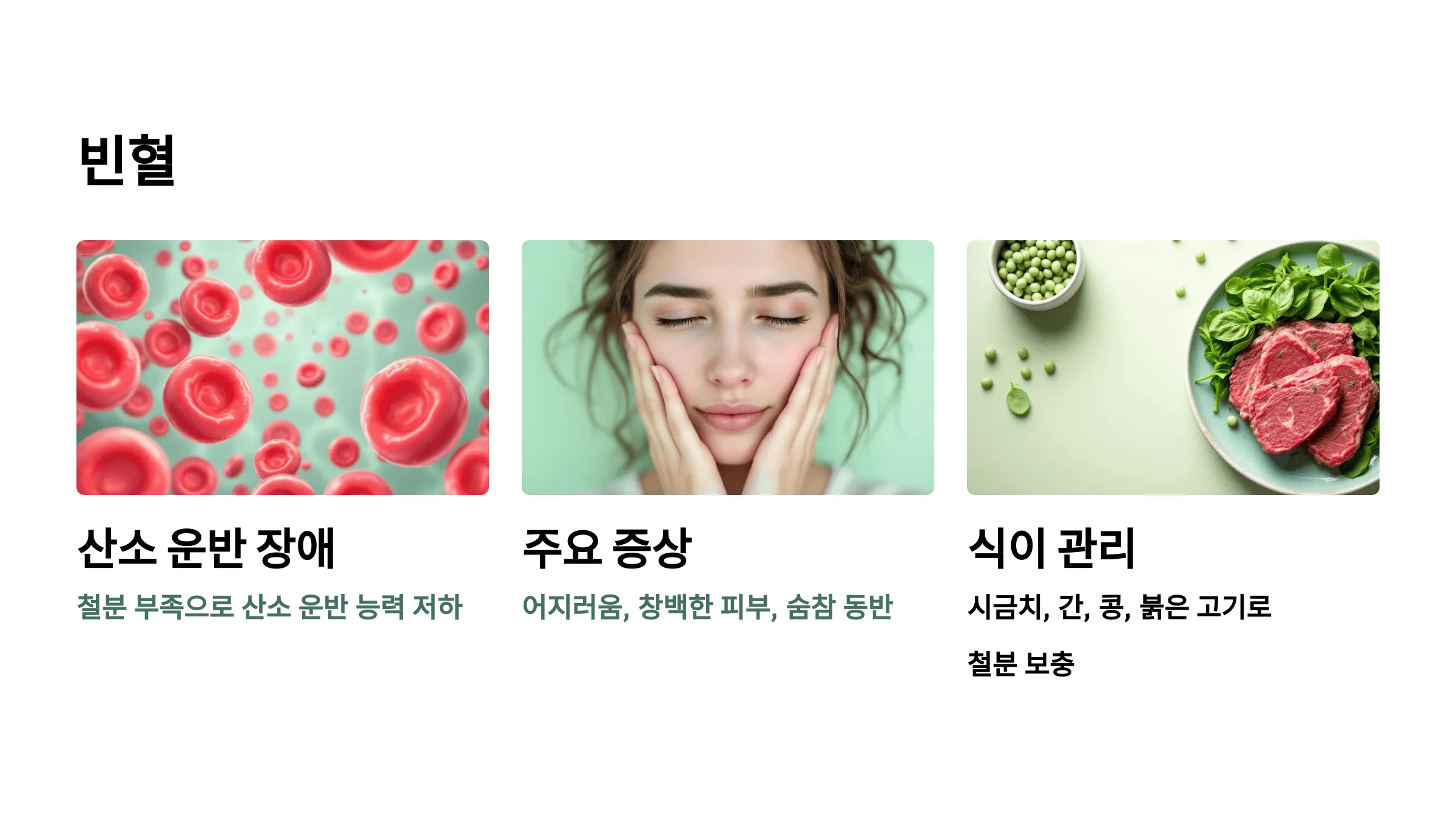 빈혈 – 산소 부족으로 인한 피로