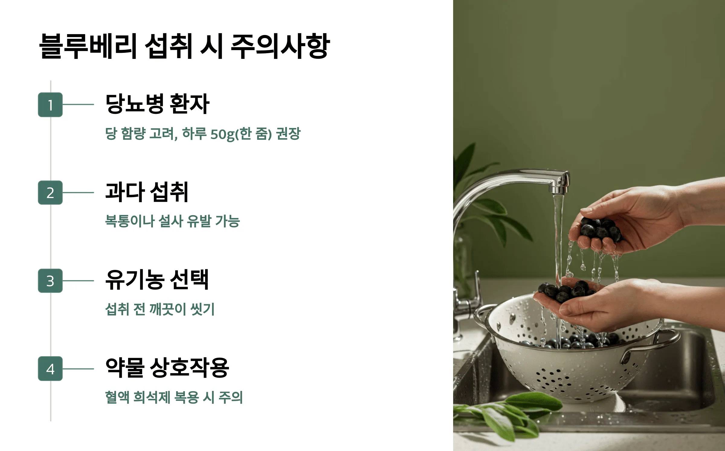 블루베리를 먹을 때 주의할 점