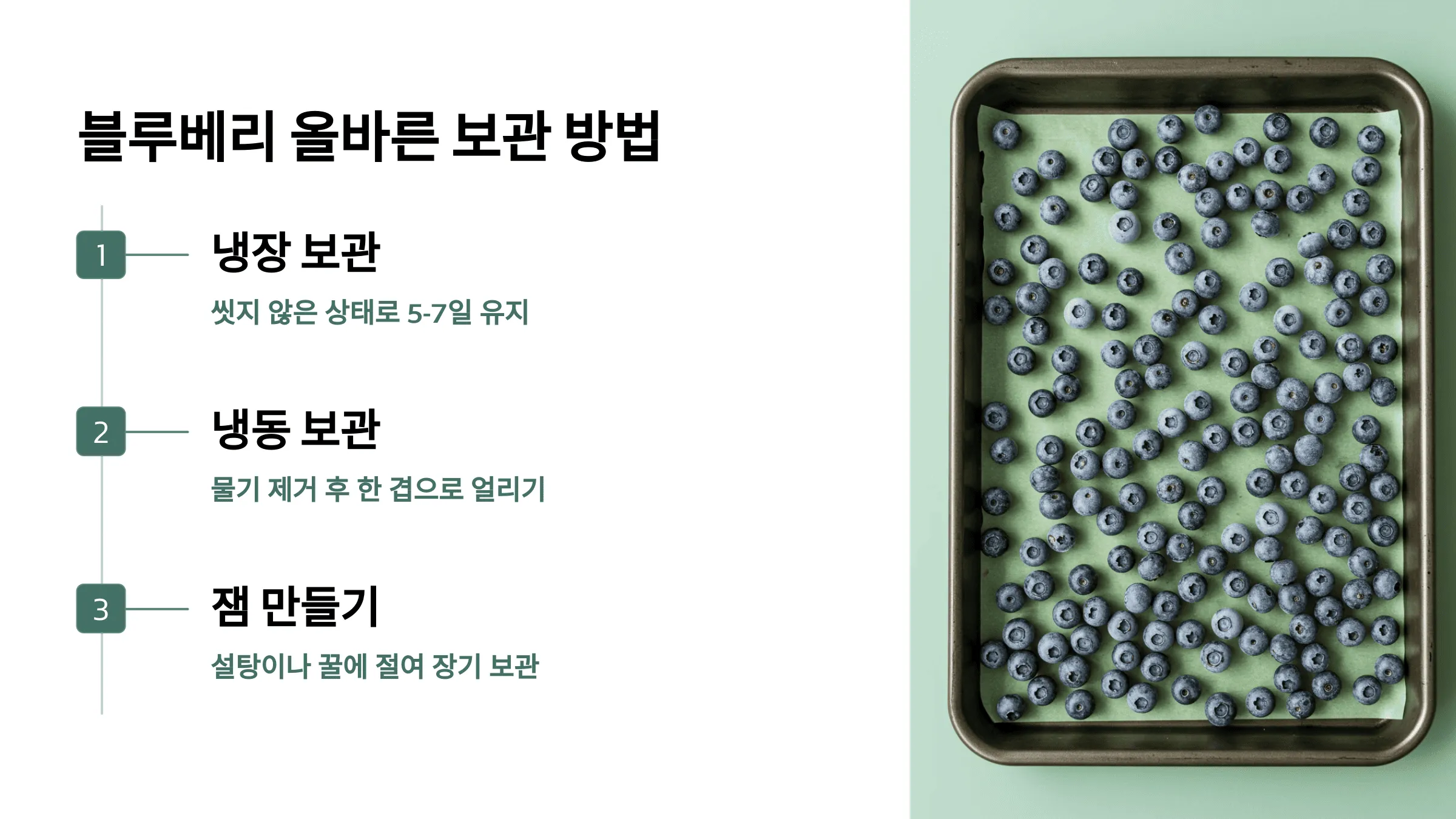 50-60대를 위한 블루베리 효능 7가지 – 항산화, 혈관 건강, 피부 노화 방지까지